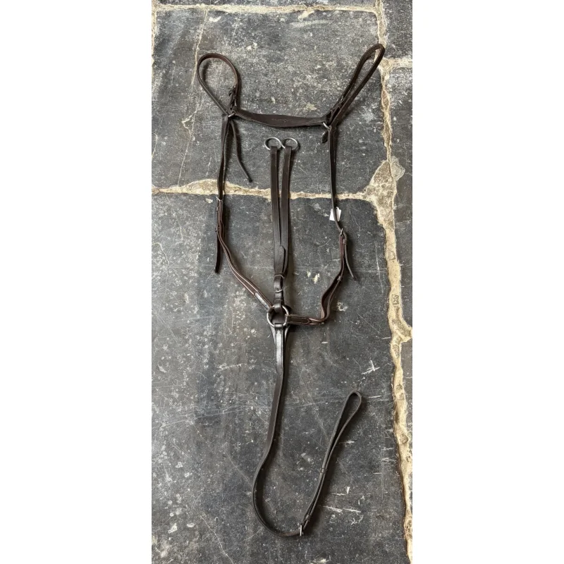 Collier de chasse Full