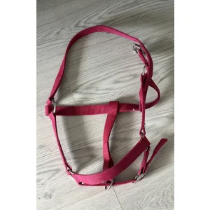 Licol fuschia Full