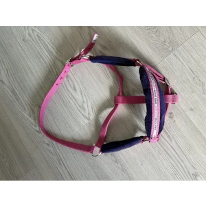 Licol rose et mouton mauve Fuganza Full