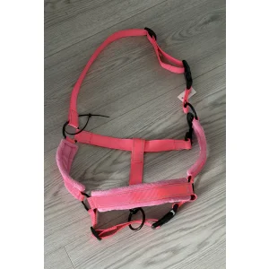Licol rose fluo avec mouton COB