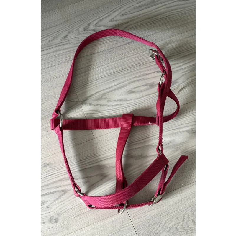 Licol fuschia Full