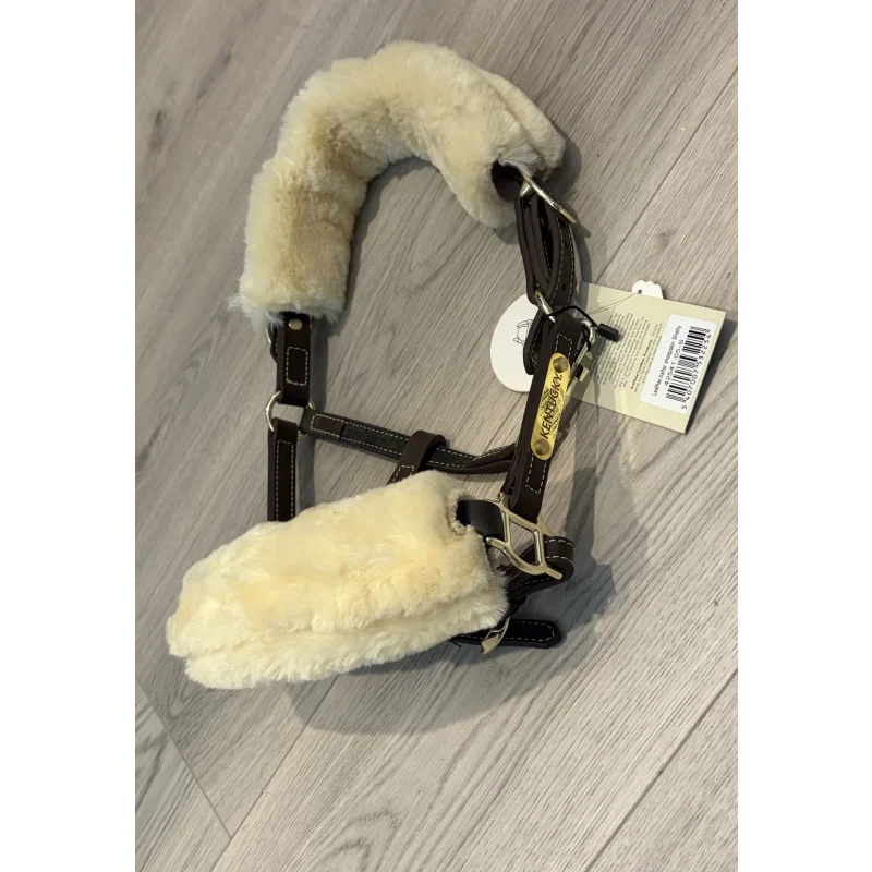 Licol cuir brun et mouton Kentucky shetland