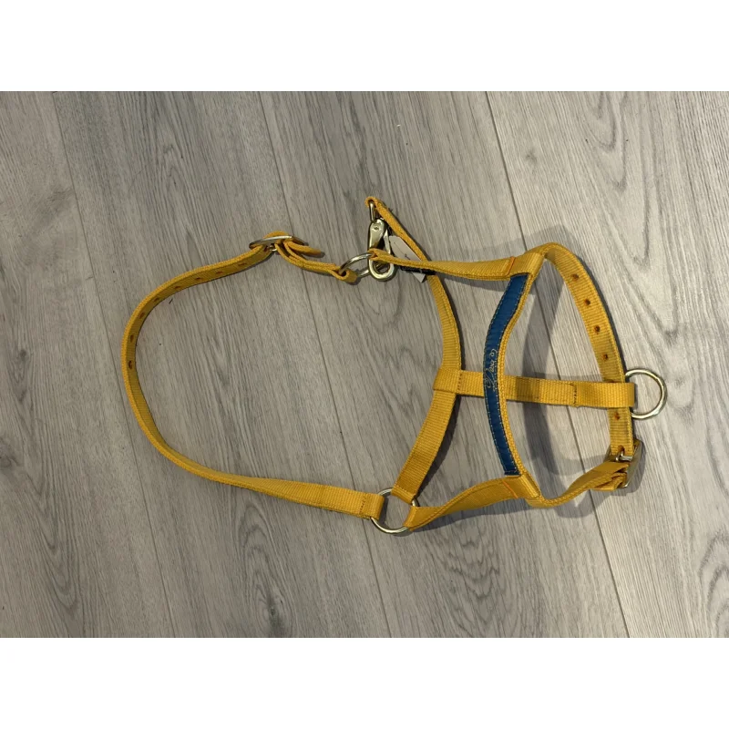 Licol jaune Harry's Horse Poney