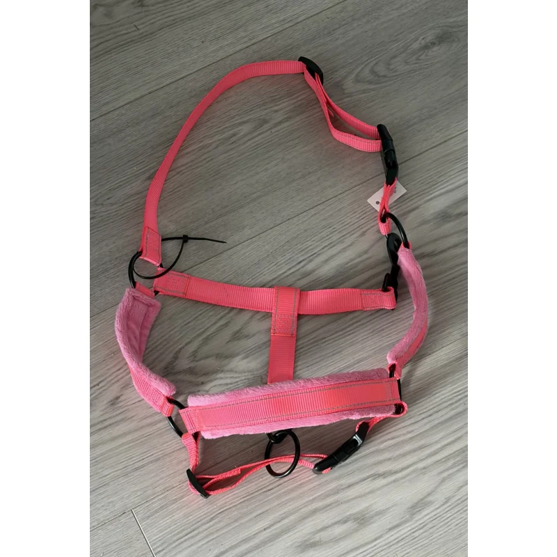 Licol rose fluo avec mouton COB